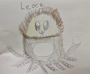 img 2550